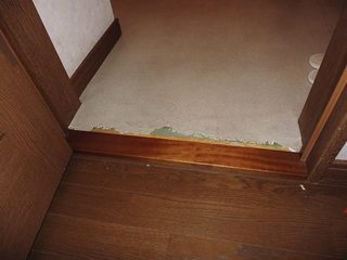 010.JPG