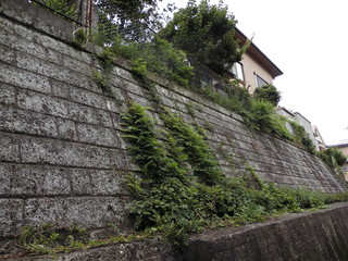 CIMG0228.JPG