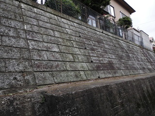 CIMG0236.JPG